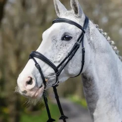 Discount LeMieux - Bridon Kudos Competition Flash Noir