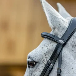 LeMieux - Bridon Kudos Grackle muserolle croisée Noir Sale