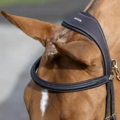 Online LeMieux - Bridon Kudos Work Marron