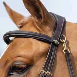 Online LeMieux - Bridon Kudos Work Marron