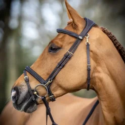 Online LeMieux - Bridon Kudos Work Marron