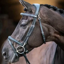 LeMieux - Bridon Kudos Work Noir Clearance