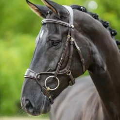 Clearance LeMieux - Bridon muserolle anatomique Kudos havane Marron