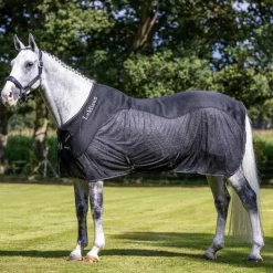 LeMieux - Chemise séchante Kudos Mesh Sports Noir Sale