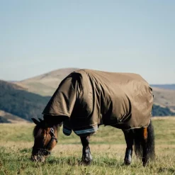 LeMieux - Couverture imperméable d’extérieur Arika ripstop Alpine 0g Marron Online