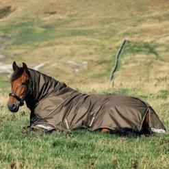 Online LeMieux - Couverture imperméable d’extérieur Arika ripstop Alpine 100g Marron