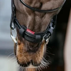 LeMieux - Fourreau de muserolle Noir New