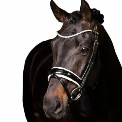 LeMieux - Frontal Ice Crystal Noir Clearance