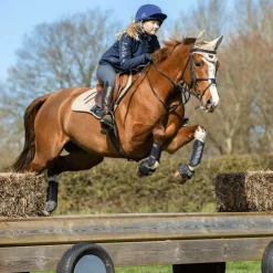 Sale LeMieux - Guêtres de cross Carbon Air x2 Noir