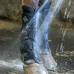 Online LeMieux - Guêtres de pré (x2) Noir