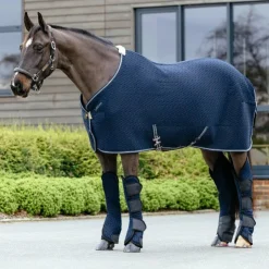 LeMieux - Guêtres de transport Kudos 3D Mesh Marine Hot