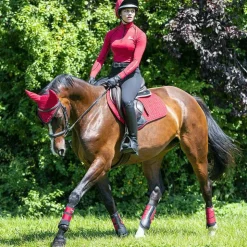 LeMieux - Guêtres fermées Grafter rouge x2 Noir Clearance