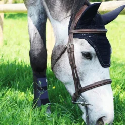 LeMieux - Guêtres fermées Grafter / marine x2 Noir Best