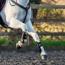 LeMieux - Guêtres Junior Pro x2 Noir