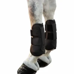 LeMieux - Guêtres ouvertes tendons Capella Noir New
