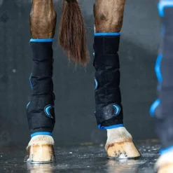 LeMieux - Guêtres refroidissantes arrière Freeze Flow Ice Noir Clearance