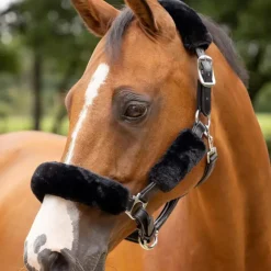 Outlet LeMieux - Kit fourreau de licol Simuwool Noir