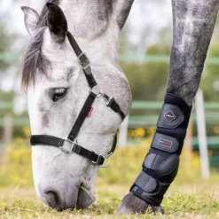 LeMieux - Licol Break Away Noir Discount