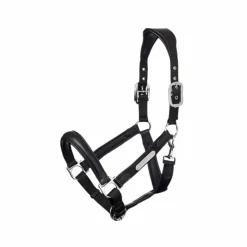 LeMieux - Licol Capella Noir Sale