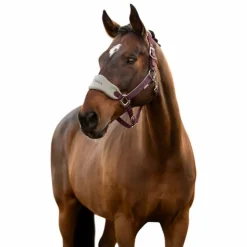 LeMieux - Licol et longe Vogue damson Bordeaux Hot