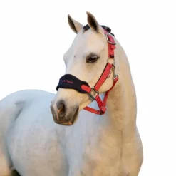 LeMieux - Licol et longe Vogue cranberry Rose Clearance