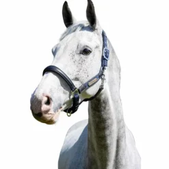 New LeMieux - Licol pour chevaux Capella Marine