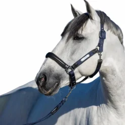 New LeMieux - Licol pour chevaux Capella Marine