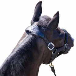 New LeMieux - Licol pour chevaux Capella Marine