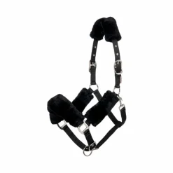 LeMieux - Licol pour chevaux Comfort Noir Online