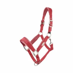 LeMieux - Licol pour chevaux Versailles cranberry Rose