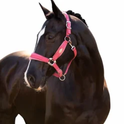 LeMieux - Licol pour chevaux Versailles cranberry Rose