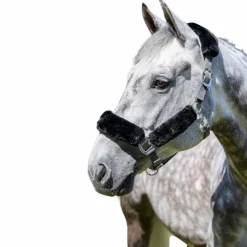 LeMieux - Licol pour chevaux Comfort Gris