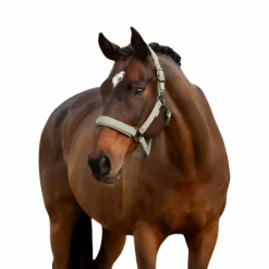 LeMieux - Licol pour chevaux Essence rosemary Vert Sale