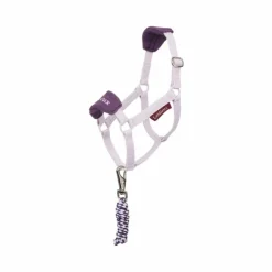 Best LeMieux - Longe et licol Vogue pour Hobby Horse lilac Violet