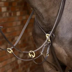 Discount LeMieux - Martingale à anneaux Kudos / laiton Marron