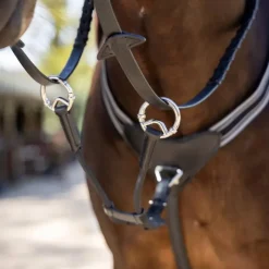 LeMieux - Martingale élastique / argent Noir Clearance