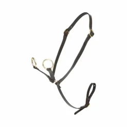 Hot LeMieux - Martingale pour Toy Pony Marron