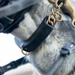 LeMieux - Protège gourmette Curb Chain Noir Online