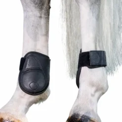 LeMieux - Protège-boulets Capella Noir