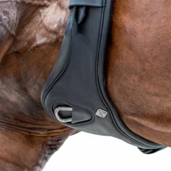 Clearance LeMieux - Sangle longue anatomique Gel-Tek Noir