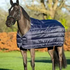 LeMieux - Sous-couverture 50g Marine Discount