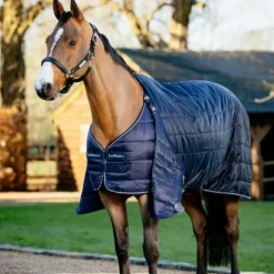 LeMieux - Sous-couverture 50g Marine Discount