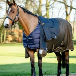 LeMieux - Sous-couverture 50g Marine Discount