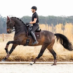 LeMieux - Tapis de dressage Puissance Suede Square Marron New