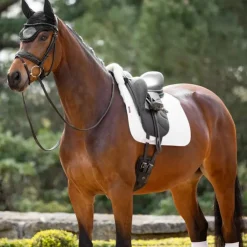 Outlet LeMieux - Tapis de dressage Merino + / naturel Blanc