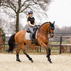 LeMieux - Tapis de dressage Square Coton Gris