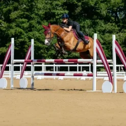 Best LeMieux - Tapis de selle Close Contact Square Bordeaux