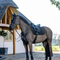 Discount LeMieux - Tapis de selle GP Work Noir