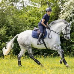 LeMieux - Tapis de selle GP Work Marine