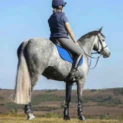 Sale LeMieux - Tapis de selle GP Suede Square Bleu